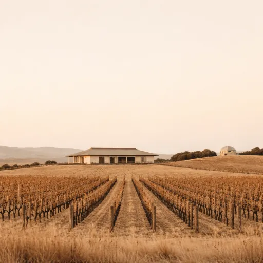 Where to Stay in the Wairarapa: Lodges, Vineyards and Dark Sky Country